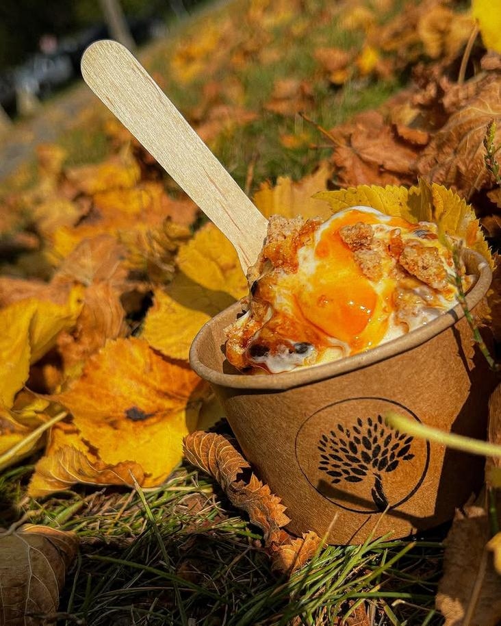 Čerstvé gelato
